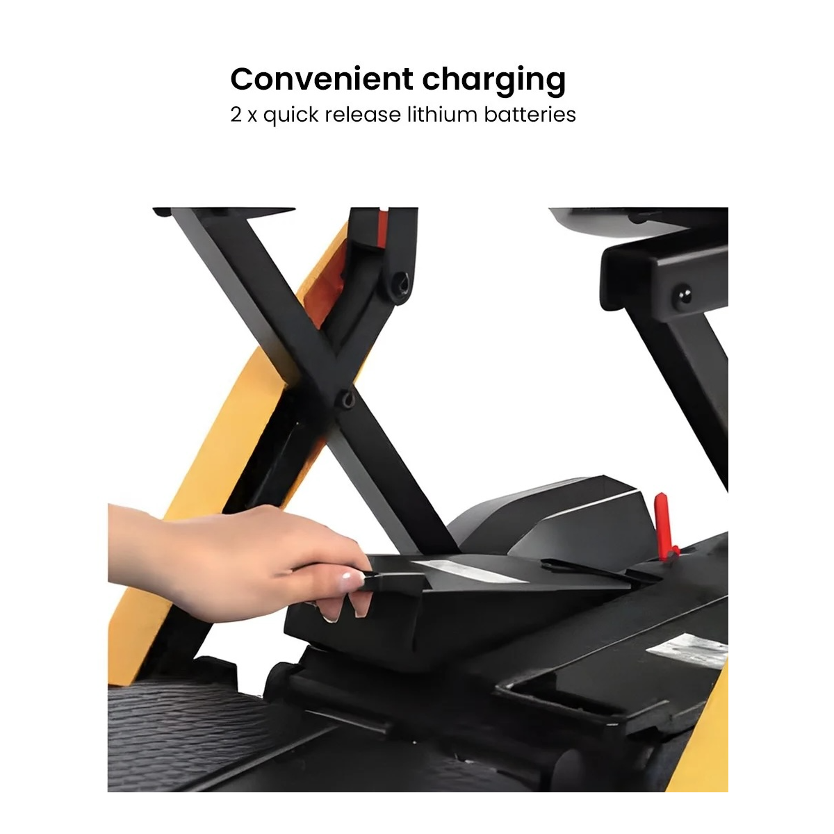 Dual Removable Lithium-Ion Batteries for Extended Range